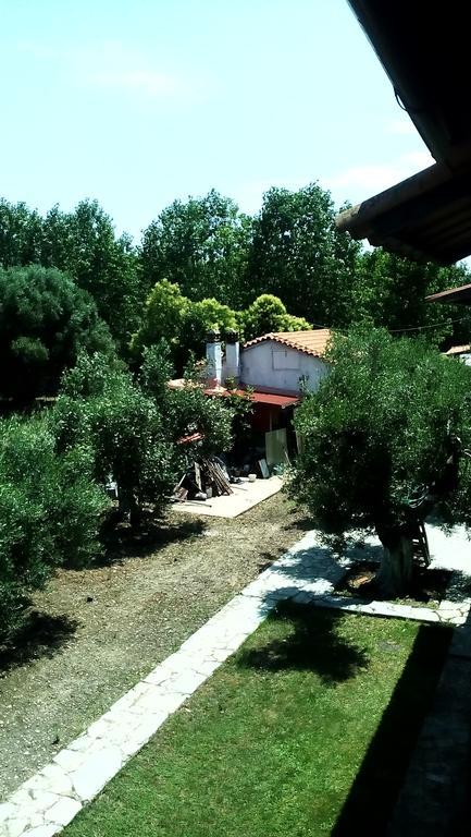 Appartement Nireas à Nea Skioni Extérieur photo