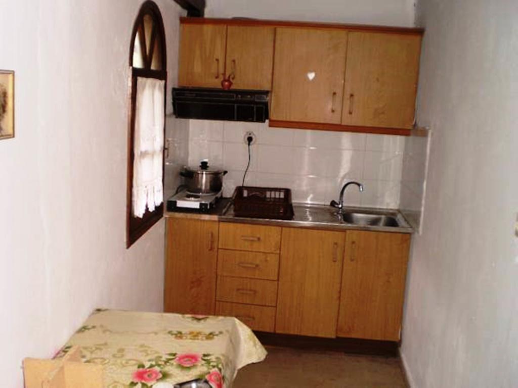 Appartement Nireas à Nea Skioni Extérieur photo